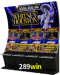 Premium Interface 289win