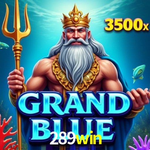 289win Brasília - VIP Program